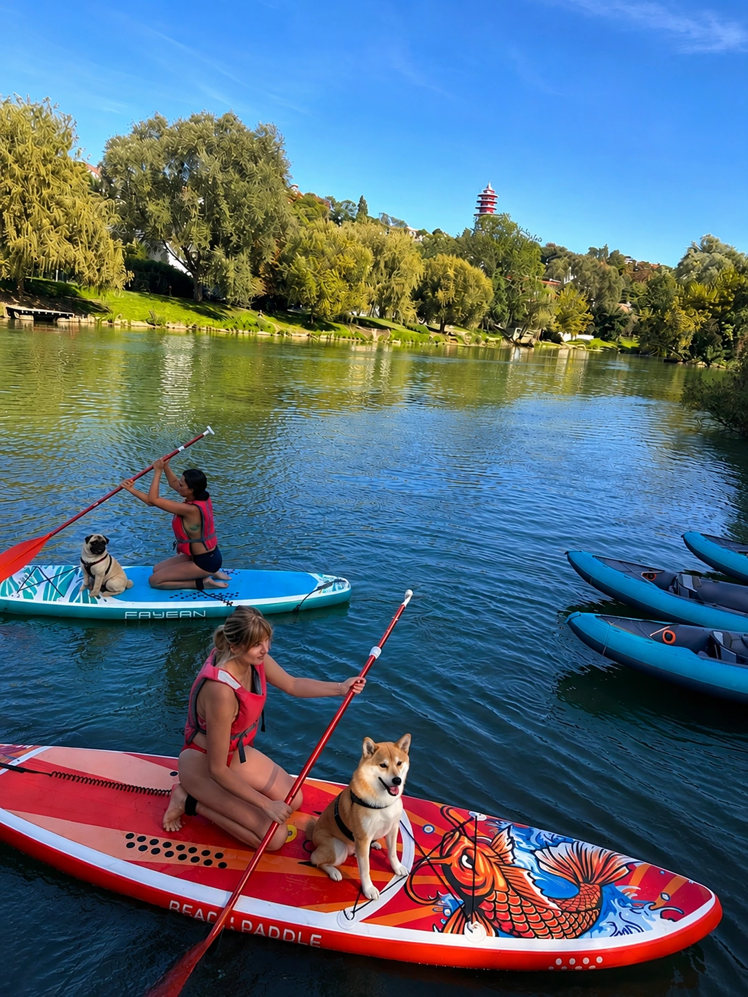 Balade paddle dog sur la Marne avec Beach Paddle